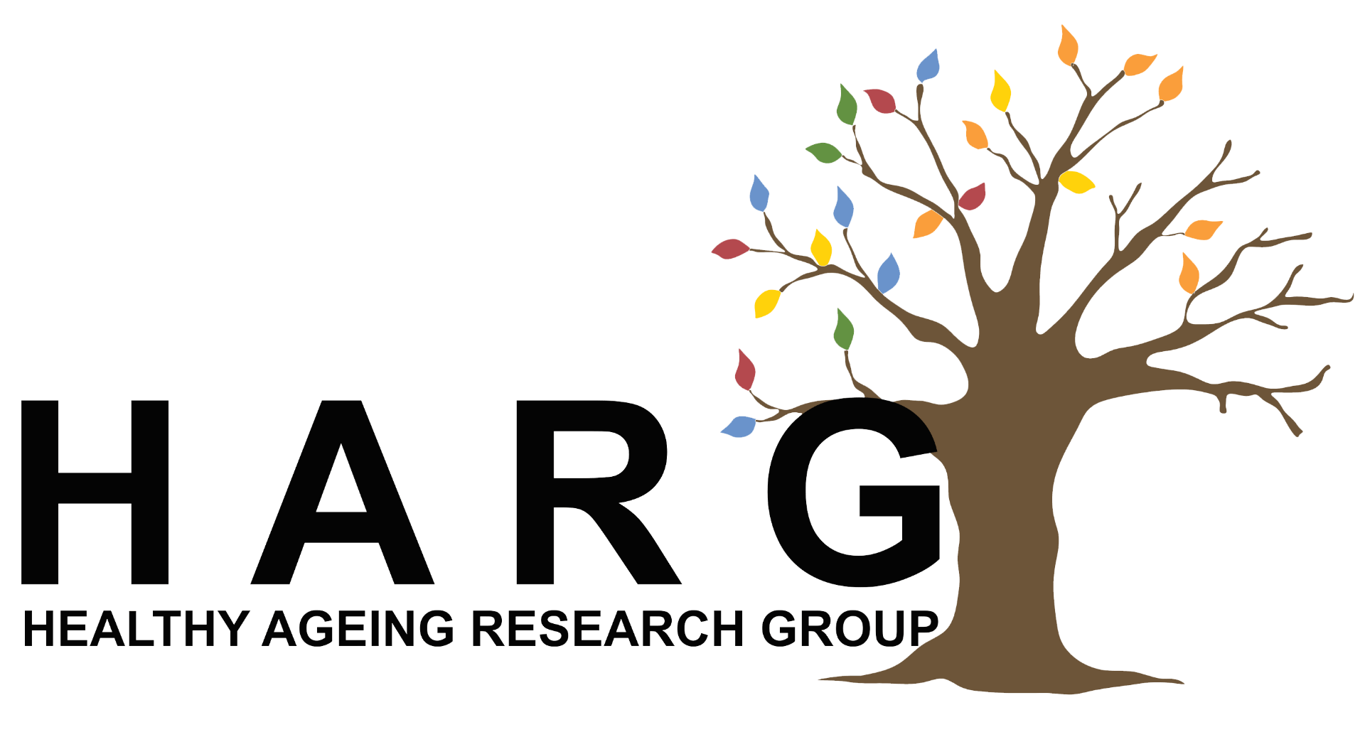Healthy Ageing Research Group, HARG, University of Lincoln, College of Social Science ,School of Health and Social Care